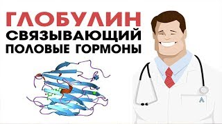 ГСПГ ГЛОБУЛИН СВЯЗЫВАЮЩИЙ ПОЛОВЫЕ ГОРМОНЫ. Как снизить и увеличить свободный тестостерон