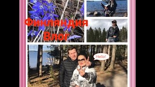 Отдых в Финляндии. Апартаменты Kylpyla spa. Дом-музей в Иматре. Покупки украшений