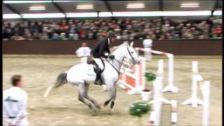 Zirocco Blue Stallionshow 2012