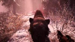 Far Cry Primal #14 Кровавый бивень, Сёстры огня