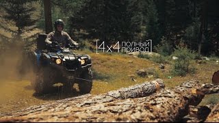 [ATV STELS 600 LEOPARD_2016]