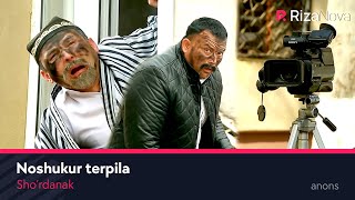 Sho'rdanak - Noshukur terpila (anons)