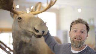 Dänische Wildnis und vielfältiger Freizeitspaß – Brian Bojsen unterwegs an der Aalborger Küste