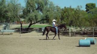Krevoy Video 3