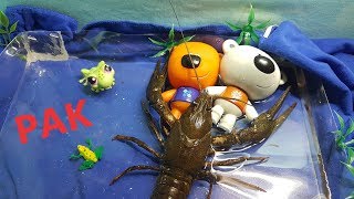МиМиландия, новая серия,РАК,stop motion,мульт с игрушками