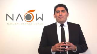 COMO GENERAR LOS INGRESOS EN NAOW