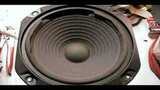 Speaker Tears Itself Apart (Part 1)