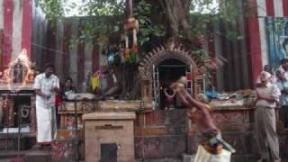 Alaipayuthey Kanna ~ Dr. Kunnakudi Vaidhyanathan
