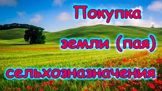 Покупка земли сельхозназначения (пай) и оформление в собственность. (01.18г.) Семья Бровченко.