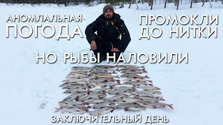 АНОМАЛЬНАЯ ПОГОДА / ПРОМОКЛИ ДО НИТКИ НО РЫБЫ НАЛОВИЛИ / ТРЕТИЙ ДЕНЬ / РЫБАЛКА ВЕСНА 2019