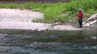 釣具のイヴ　小丸川　鮎釣り　2014 07 24
