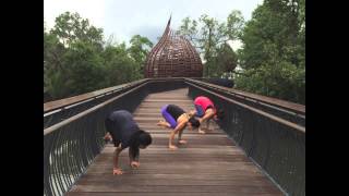 Be a friend of Satya Yoga!