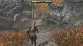 Pentium G4560- skyrim 2017,4k 3840 × 2160-ultra-gtx 1070