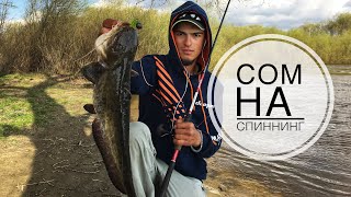 Сом на спиннинг