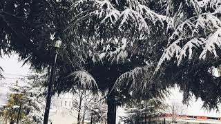 Лагодехи  - Грузия