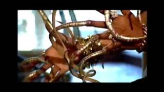 20 Inch Fingernails 'Gift From God'