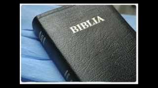 REFLEXIONES -LA BIBLIA