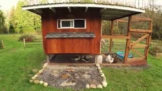 Beautiful Chicken Coop Build Idea and Design