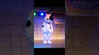 猫ダンス LOCK DANCE CAT #Shorts