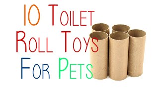 10 Toilet Roll Toys For Small Pets