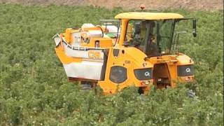 Machines à vendanger GREGOIRE, G1, G7 et G8 au travail