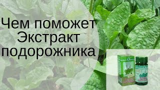 Чем поможет Экстракт подорожника.