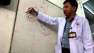 Di căn hạch bẹn trong ung thư trực tràng-hậu môn