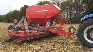 Horsch Avatar