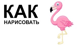Птицы карандашом. КАК НАРИСОВАТЬ ПТИЦУ