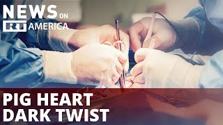 Pig heart transplant recipient recognized for brutal crime