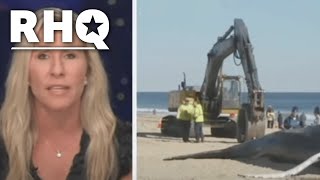 WATCH: MTG Pretends To Be An Environmentalist On Fox News
