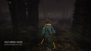 Another buggy DBD game