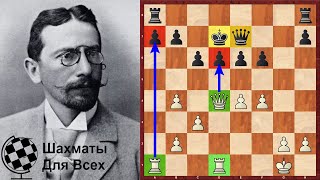 Шахматы. КОРОЛЬ-КАМИКАДЗЕ против Зигберта Тарраша!