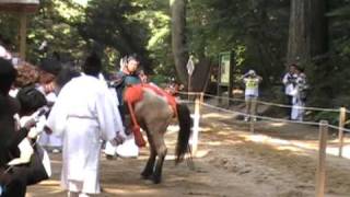 流鏑馬鹿島2009_ハプニング