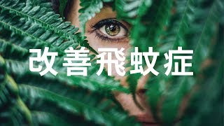 改善飛蚊症 - 針對玻璃體混濁或玻璃體退化引起的飛蚊症