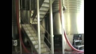 Winery Stobi