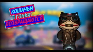 Meow Motors. КОШАЧЬИ ГОНКИ!