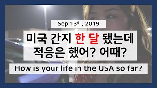 [ENG] #Vlog 6 미국 교환학생 브이로그 : Korean BBQ