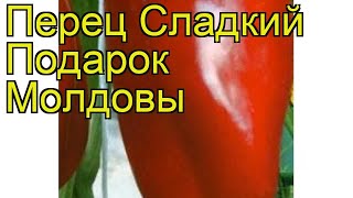 Перец сладкий Подарок Молдовы. Краткий обзор, описание характеристик Podarok Moldovy