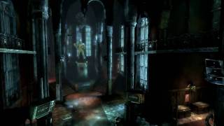 Batman Arkham Asylum(ingame benchmark Physx - high)