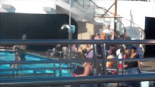 Carnival Conquest Ship Highlights