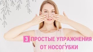 ✅ПОЧЕМУ ЛЕТОМ АКТИВНЕЕ «ПРОРЕЗАЕТСЯ» НОСОГУБКА | 3 упражнения от носогубного залома |