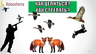 Как ПРАВИЛЬНО целиться и стрелять в дичь на охоте? Videoohota