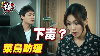 《多情大爆爆》多情城市 EP185 菜鳥助理 下毒？