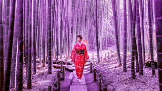 Ancient Healing Tones | 432Hz Music Meditation | Miracle Sound | Relaxing Positive Energy