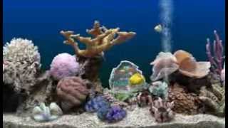 Marine Aquarium 3