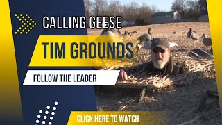 Follow The Leader While Goose Calling By Tim Grounds