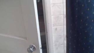 Sister's hot friend (caught in shower)