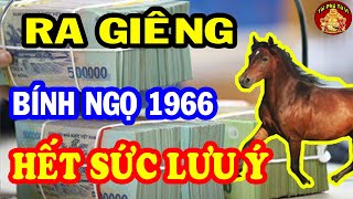 Tử Vi Đầu Năm 2023 Tuổi Bính Ngọ 1966 Sẽ Ra Sao? May Mắn Giàu Có Hay Vận Hạn Thế Nào?
