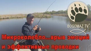 Микроколебло...взрыв эмоций и эффективные проводки...bogomaz05